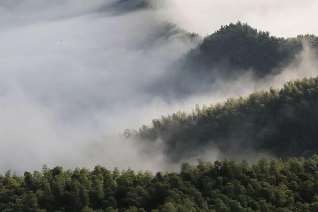 山西方山:儿童燃放烟花引燃车辆,消防员及时扑救